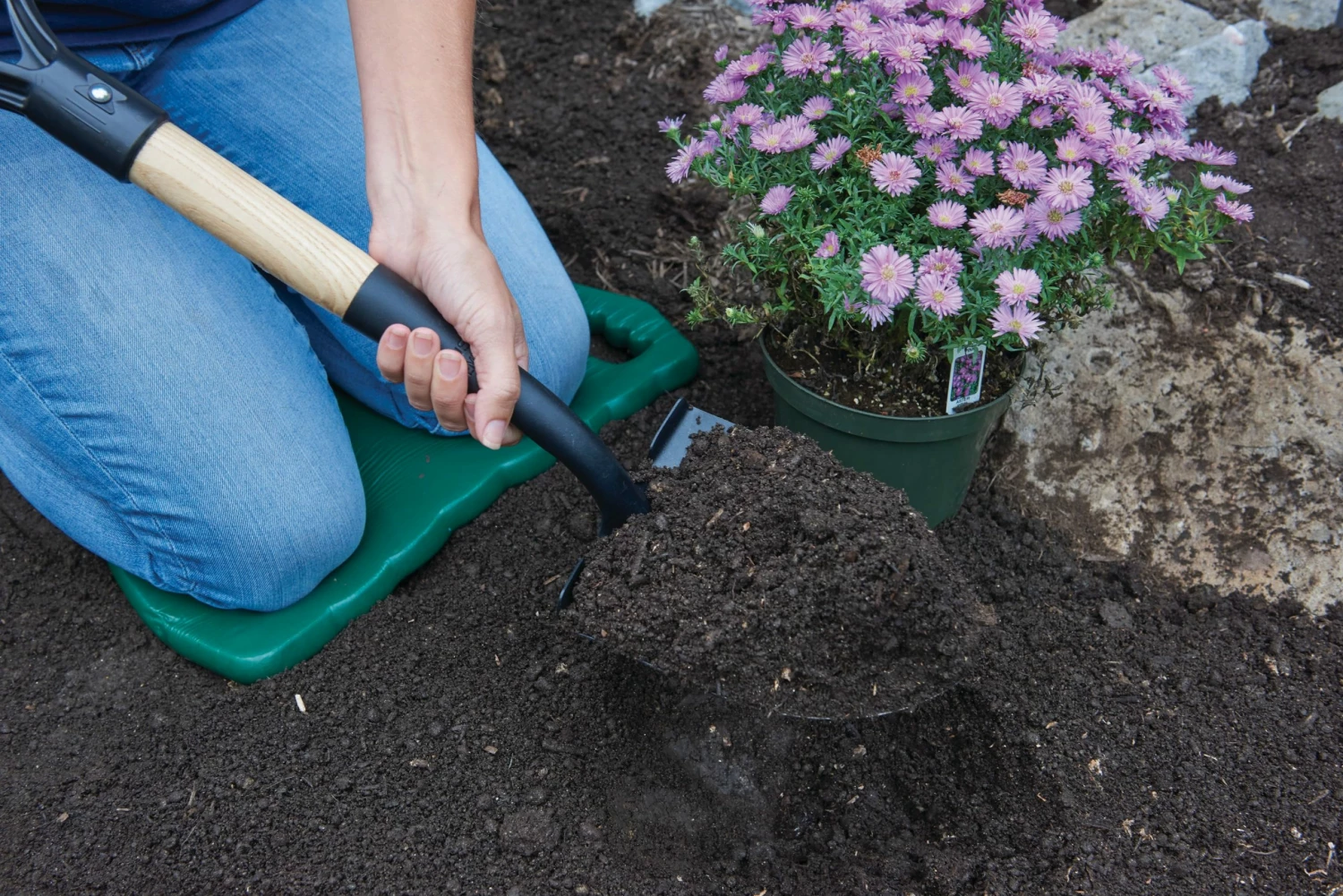 CRAFTSMAN Lawn & Garden Hand Tools 10.75-in Wood D-Handle Digging Shovel 3 CRAFTSMAN Lawn & Garden Hand Tools 10.75-in Wood D-Handle Digging Shovel - Image 3